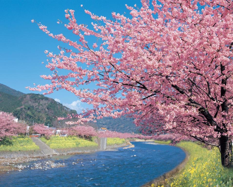Imaiso Kawazu Exterior foto